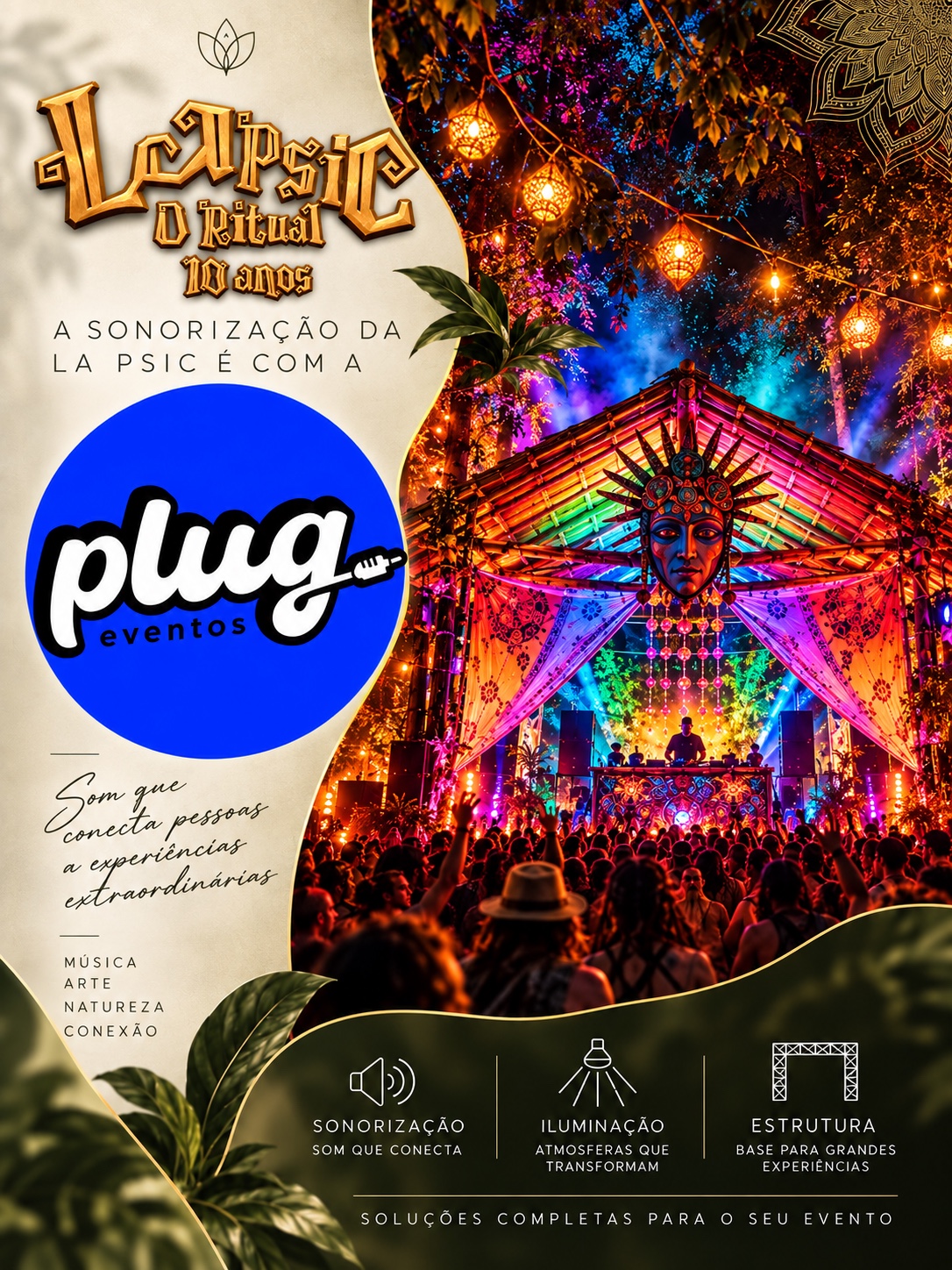 Plug